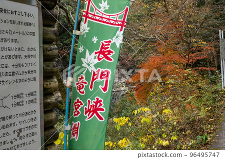 Autumn Chomonkyo Gorge with beautiful autumn foliage and valley [Yamaguchi Prefecture] 96495747