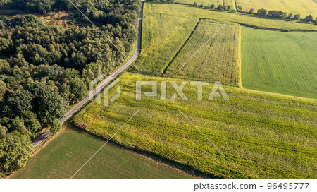 Aerial view shot by a drone of land or landscape of green fields. Include agriculture farm, house Aerial view shot by a drone of land or landscape of green fields. Include agriculture farm, house 96495777