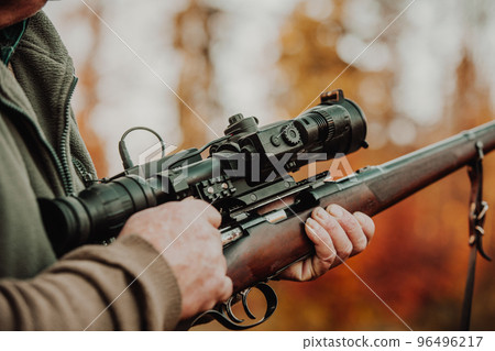 Portrait of hunter or ranger with gun or rifle in a forest looking out or hunting of some venison, hunting period, autumn season, hunting and people concept 96496217