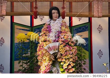 Chrysanthemum doll of Princess Kaguya 96496225