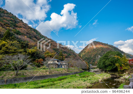 Autumn Chomonkyo Gorge with beautiful autumn foliage and valley [Yamaguchi Prefecture] 96496244