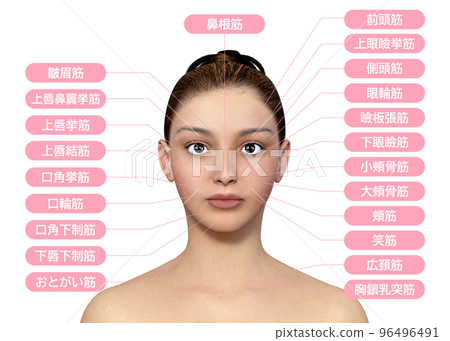 女性臉部肌肉名稱3D模型上半身臉部特寫圖 96496491