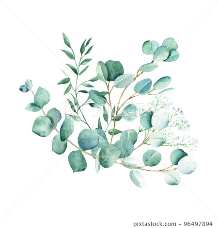 Watercolor greenery bouquet. Eucalyptus, gypsophila and pistachio branches. Hand drawn botanical illustration isolated on white background. Can be used for greeting cards, posters, wedding and baby Watercolor greenery bouquet. Eucalyptus, gypsophila and pistachio branches. Hand drawn botanical illustration isolated on white background. Can be used for greeting cards, posters, wedding and baby 96497894