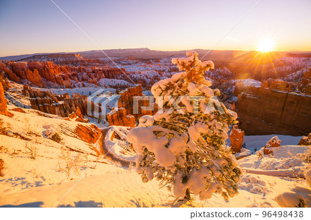 Winter Bryce 96498438