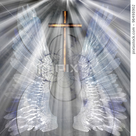Angel Wings 96498902