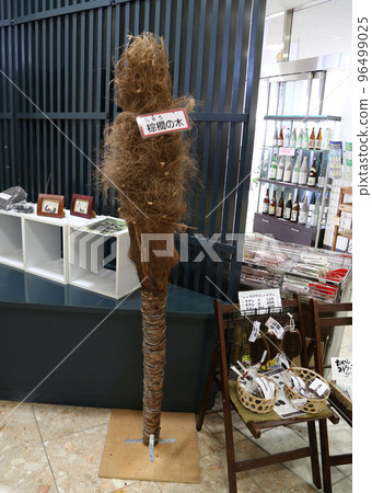 Palm tree (raw material for scrubbers) at JR Kainan Station, Kisei Main Line, Wakayama Prefecture 96499025