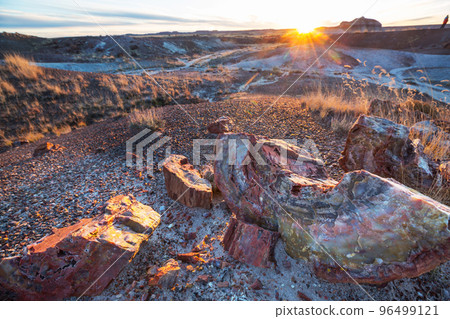 Petrified forest Petrified forest 96499121