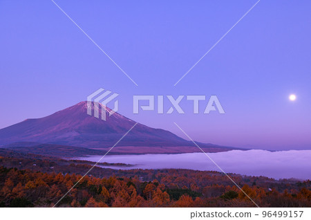 A sea of clouds over Mt.Fuji and Lake Yamanaka dyed in the setting full moon and sunrise A sea of clouds over Mt.Fuji and Lake Yamanaka dyed in the setting full moon and sunrise 96499157