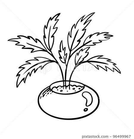 Vector illustration of a flower in pot and sketch 96499967