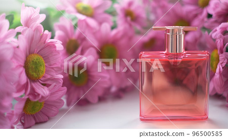 Chrysanthemum perfume 2024