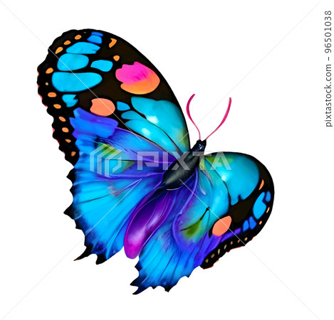 Vector blue wattercolor butterfly isolated on white background, fragile, beautiful, tropical insect, painted decoration Vector blue wattercolor butterfly isolated on white background, fragile, beautiful, tropical insect, painted decoration 96501038