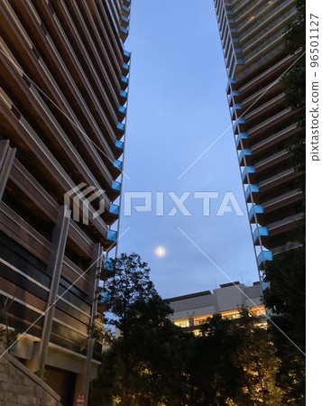 Moonlit night Moonlit night 96501127