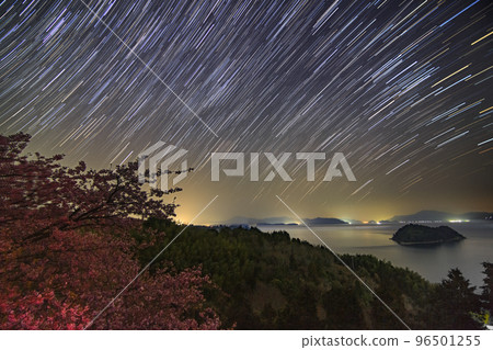瀨戶內早春的星空 島上河津櫻花的星空軌跡 96501255