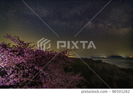 瀨戶內海早春的星空河津櫻花天空中的銀河和白鳥星座 瀨戶內海早春的星空河津櫻花天空中的銀河和白鳥星座 96501262