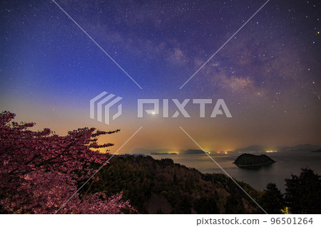 Seto Inland Sea's early spring starry sky Kawazu cherry blossoms and the Milky Way in the sunrise sky 96501264