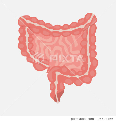 stomach icon on a white background.  96502466