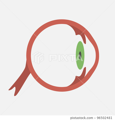 Eye icon on white background Eye icon on white background 96502481