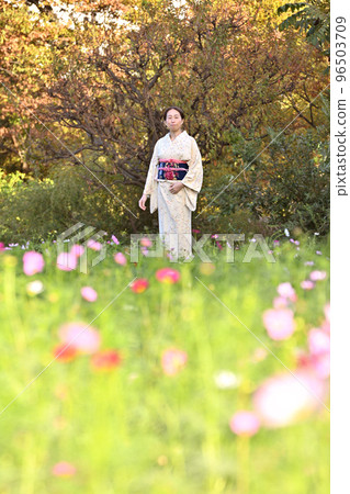波斯菊領域的和服婦女 96503709