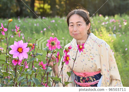 波斯菊領域的和服婦女 96503711