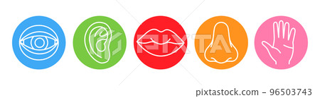 Five human senses line icons set. Vision, smell, hearing, touch, taste icons. Human sensory organs. Eye, nose, ear, hand, mouth icon set. 96503743