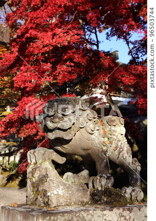 Komine 神社的 Komainu,背景是鮮紅的秋葉 Komine 神社的 Komainu,背景是鮮紅的秋葉 96503744