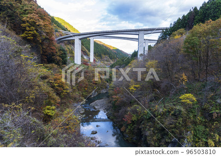 Loop bridge and autumn leaves seen from Takizawa Dam [Raiden Roppongi Bridge] / Chichibu City, Saitama Prefecture [Chichibu-Tama-Kai National Park] 96503810