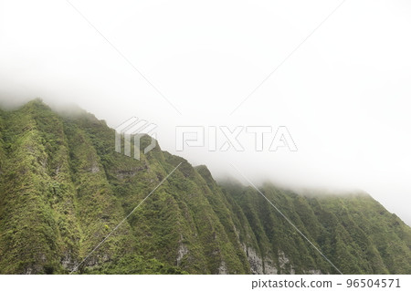 A view of the kuriouou forest in a Hawaiian nature reserve 96504571