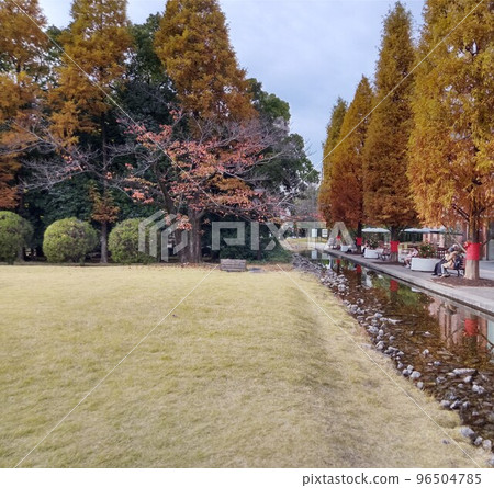 秋天的城市公園，紅葉的綠洲 96504785