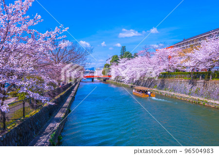 京都岡崎運河櫻花和十國船 96504983
