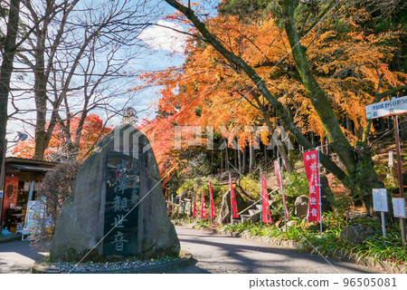 Suisawa Temple approach in autumn Suisawa Temple approach in autumn 96505081