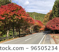 Autumn leaves of Yoshino Dorogawa 1 96505234