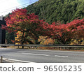 Autumn leaves of Yoshino Doro River 2 96505235