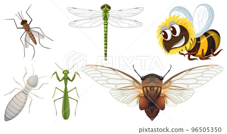 Collection of different insects vector 96505350