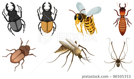 Collection of different insects vector 96505353