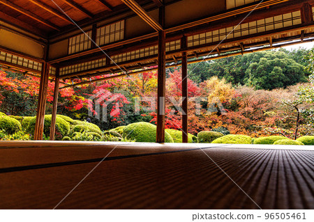 四仙堂紅葉 四仙堂紅葉 96505461