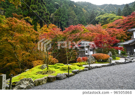 有秋葉的Kochidani Amidaji寺廟 96505868