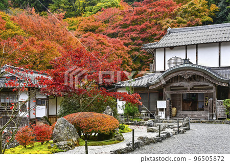有秋葉的Kochidani Amidaji寺廟 96505872