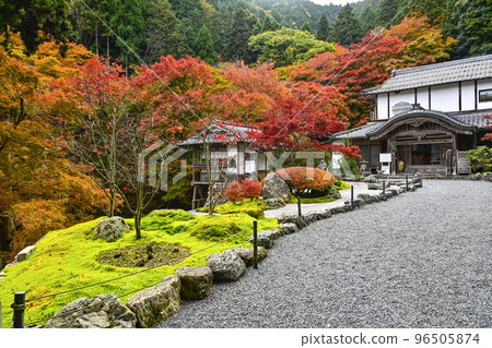 有秋葉的Kochidani Amidaji寺廟 96505874