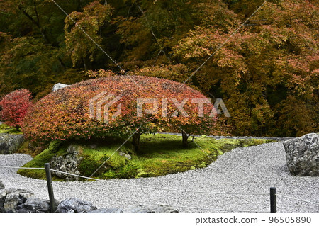有秋葉的Kochidani Amidaji寺廟 96505890