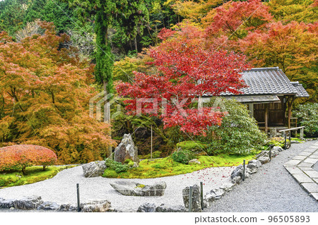 有秋葉的Kochidani Amidaji寺廟 96505893
