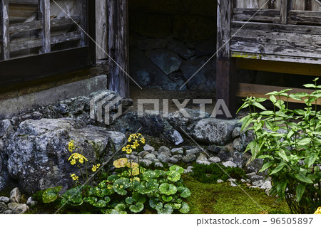 Blue axis celestial star in the courtyard of Kochidani Amidaji Temple Blue axis celestial star in the courtyard of Kochidani Amidaji Temple 96505897