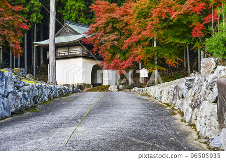 Kochidani Amidaji Temple with autumn leaves Kochidani Amidaji Temple with autumn leaves 96505935