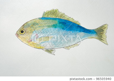 A large collection of fish from the world of fish in Japan (watercolor edition) 96505940