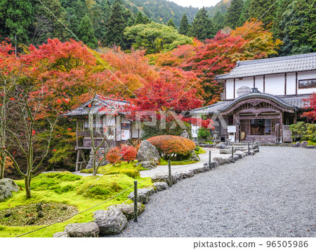 有秋葉的Kochidani Amidaji寺院區 96505986