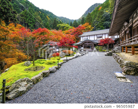 有秋葉的Kochidani Amidaji寺院區 96505987