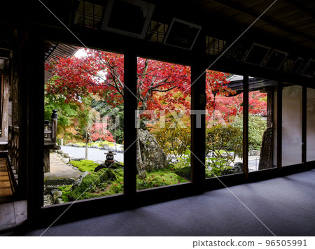 The precincts of Kochidani Amidaji Temple with autumn leaves 96505991