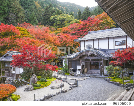 有秋葉的Kochidani Amidaji寺院區 96506009