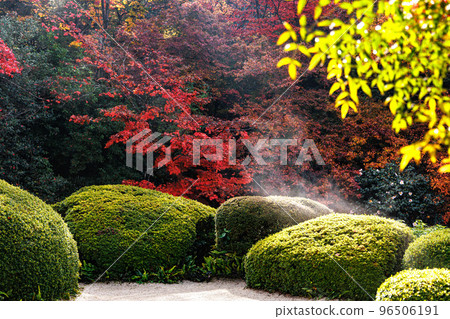 Shisendo Momiji Shisendo Momiji 96506191