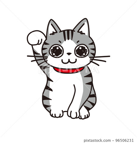 眼睛閃閃發光的鯖魚貓擺出招財貓的樣子 96506231