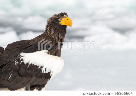 知床冬天 96506664